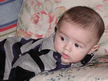 01-2002_fin_close-up2