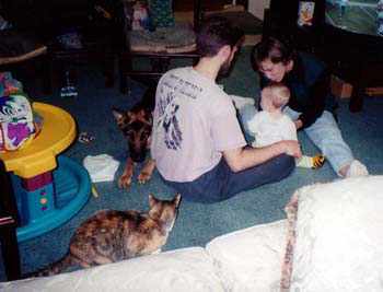 011124_typical_scene