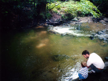 030904 Creekside