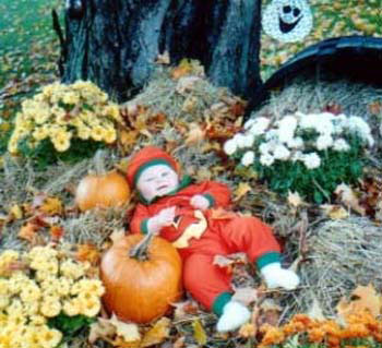 jackson_pumpkin_patch