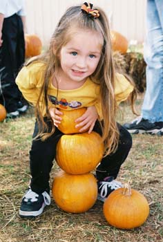 M-3 pumpkins