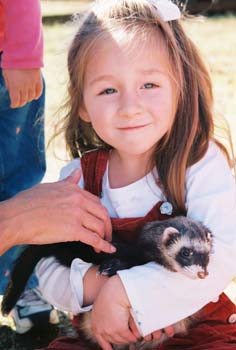M-ferret