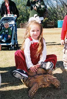 M-turtle ride
