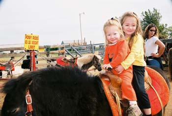 MP-pony pic