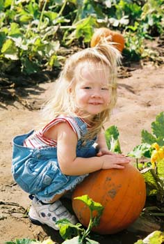 P-big pumpkin