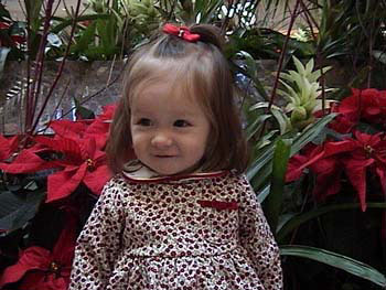 11-30-01pointsettia3