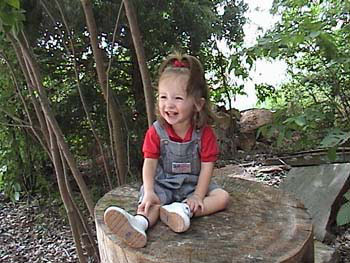 5-26-02tree